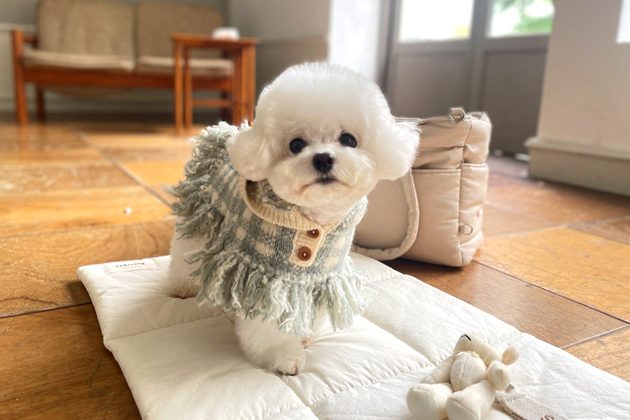 チェックポンチョニットコート(2色)