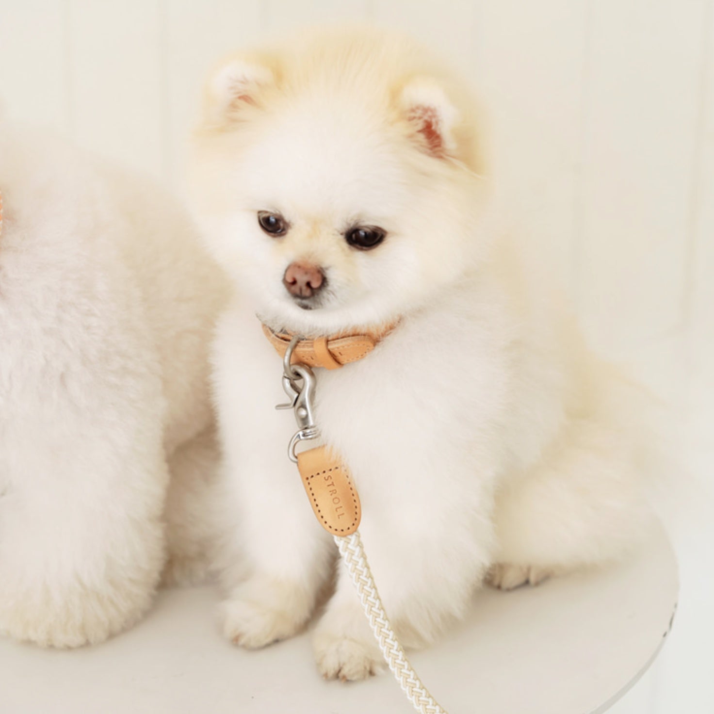 Rope Collar(オートミール)