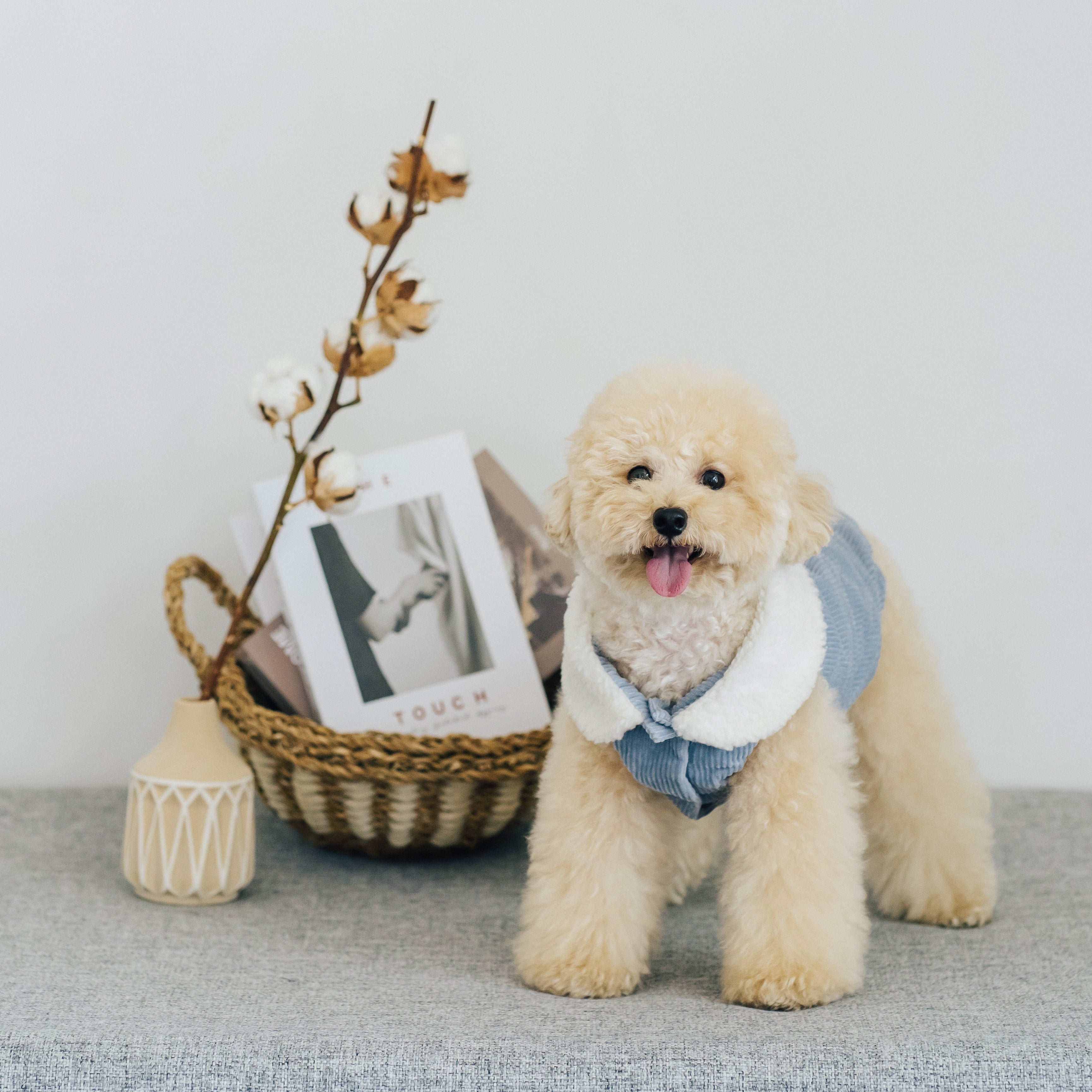 コーデュロイベスト(ピンク・ブルー・ブラウン)