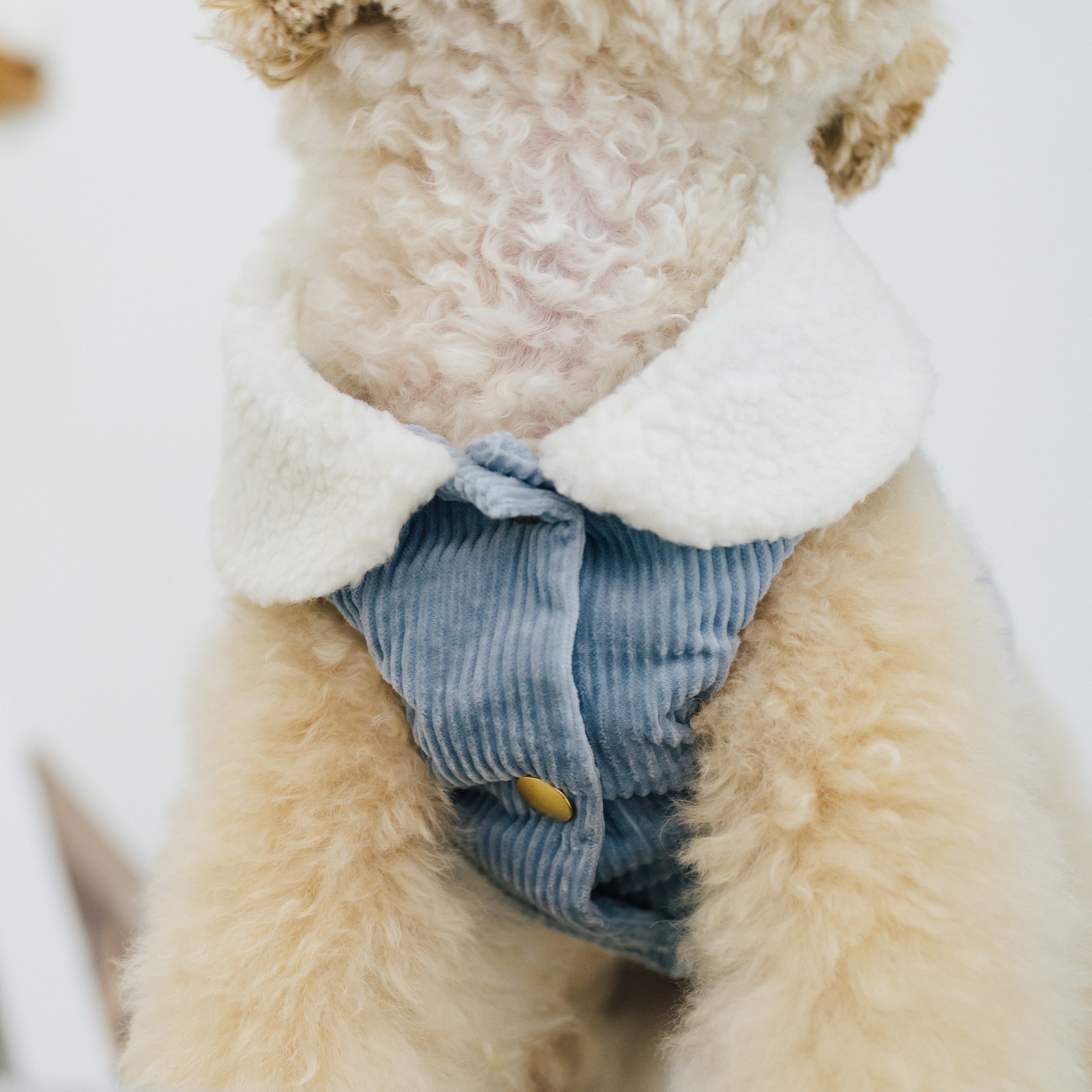 コーデュロイベスト(ピンク・ブルー・ブラウン)