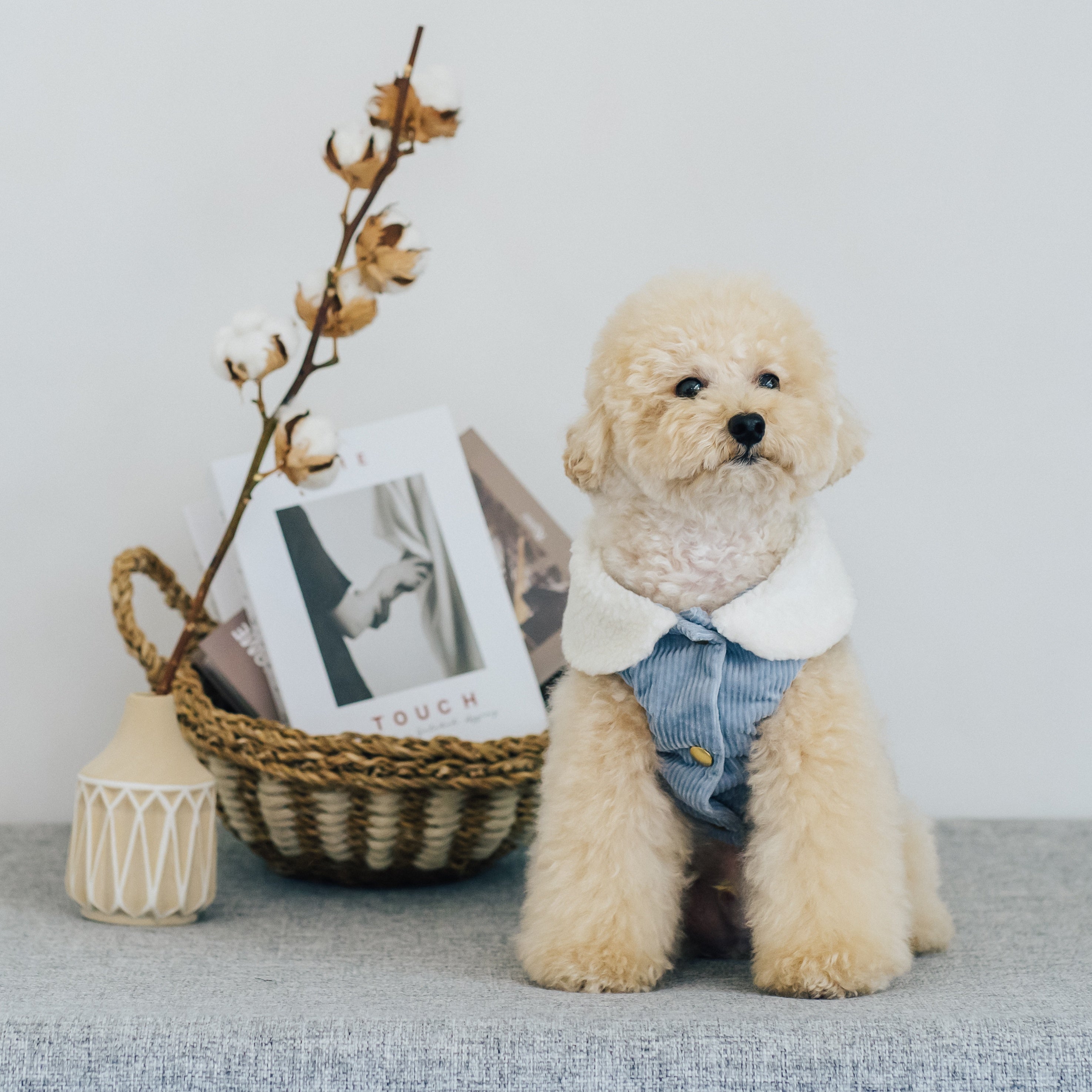 コーデュロイベスト(ピンク・ブルー・ブラウン)