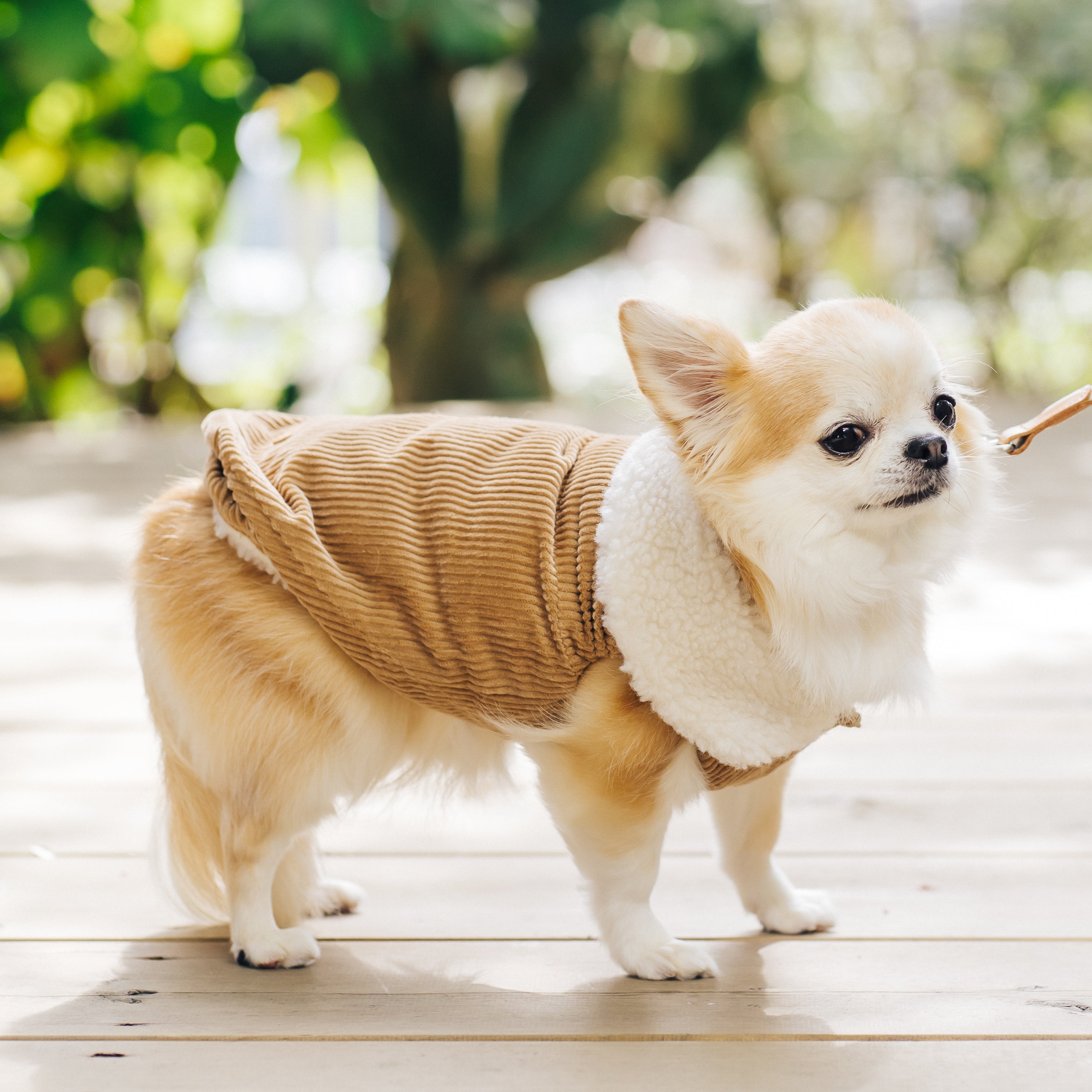 コーデュロイベスト(ピンク・ブルー・ブラウン)