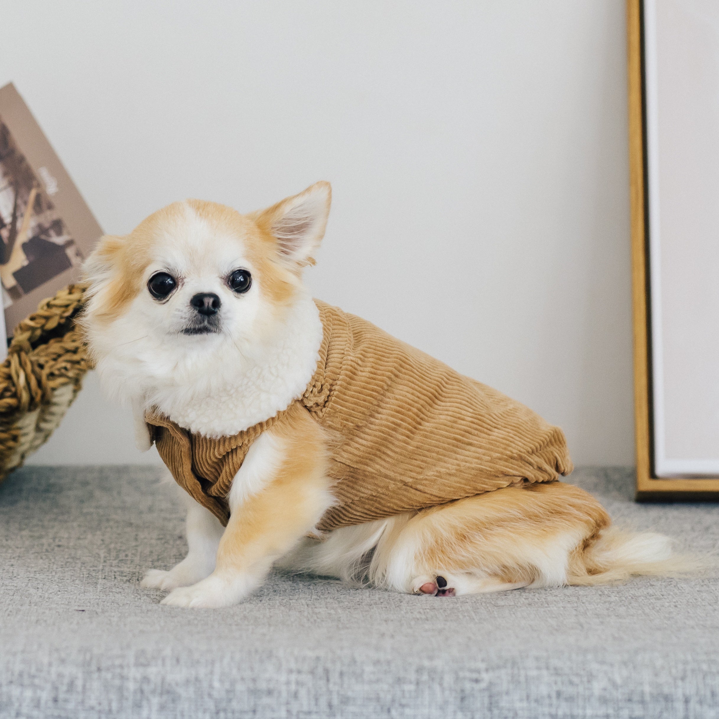 コーデュロイベスト(ピンク・ブルー・ブラウン)