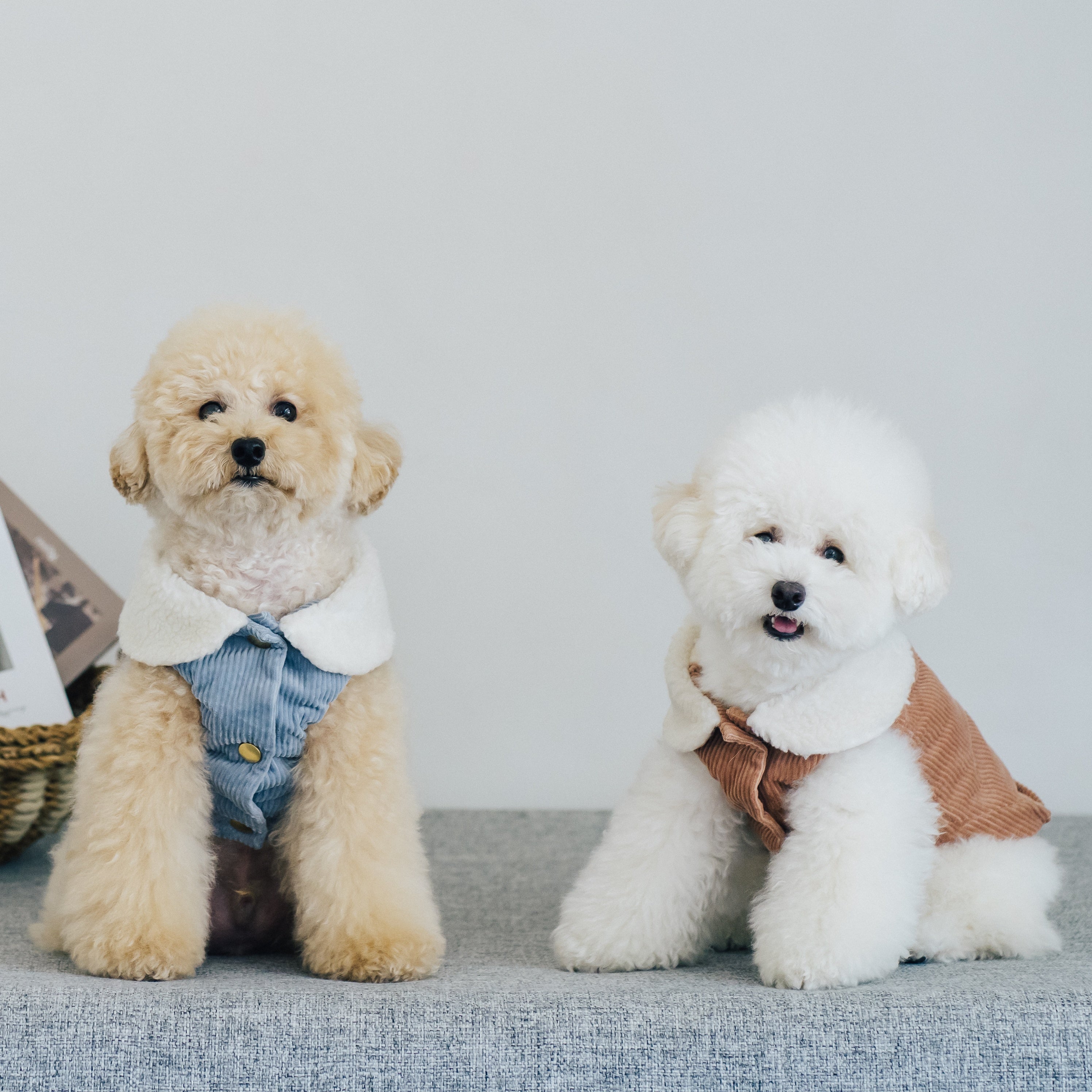 コーデュロイベスト(ピンク・ブルー・ブラウン)