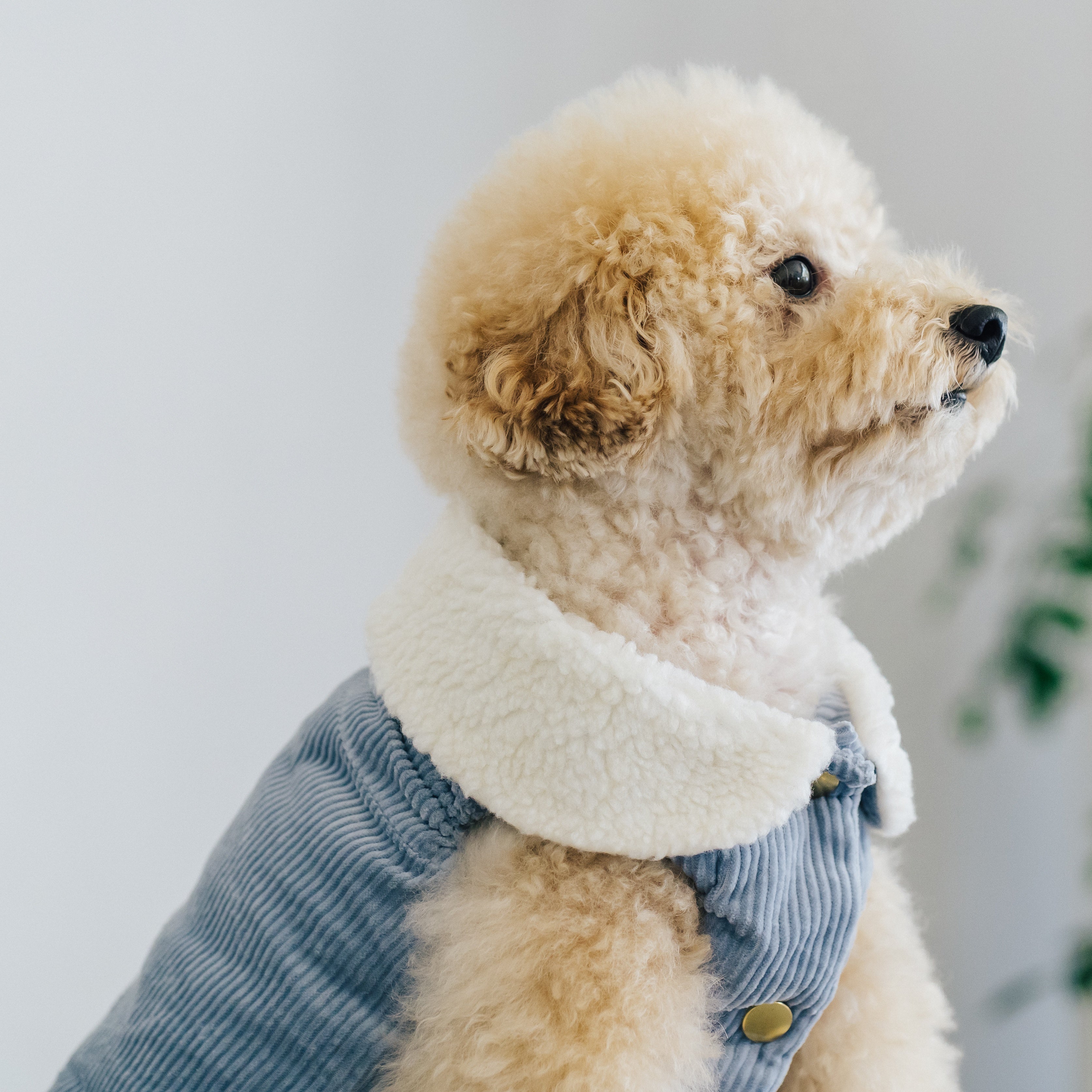 コーデュロイベスト(ピンク・ブルー・ブラウン)