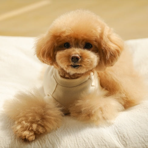 クリーミースマイルTシャツ(アイボリー)