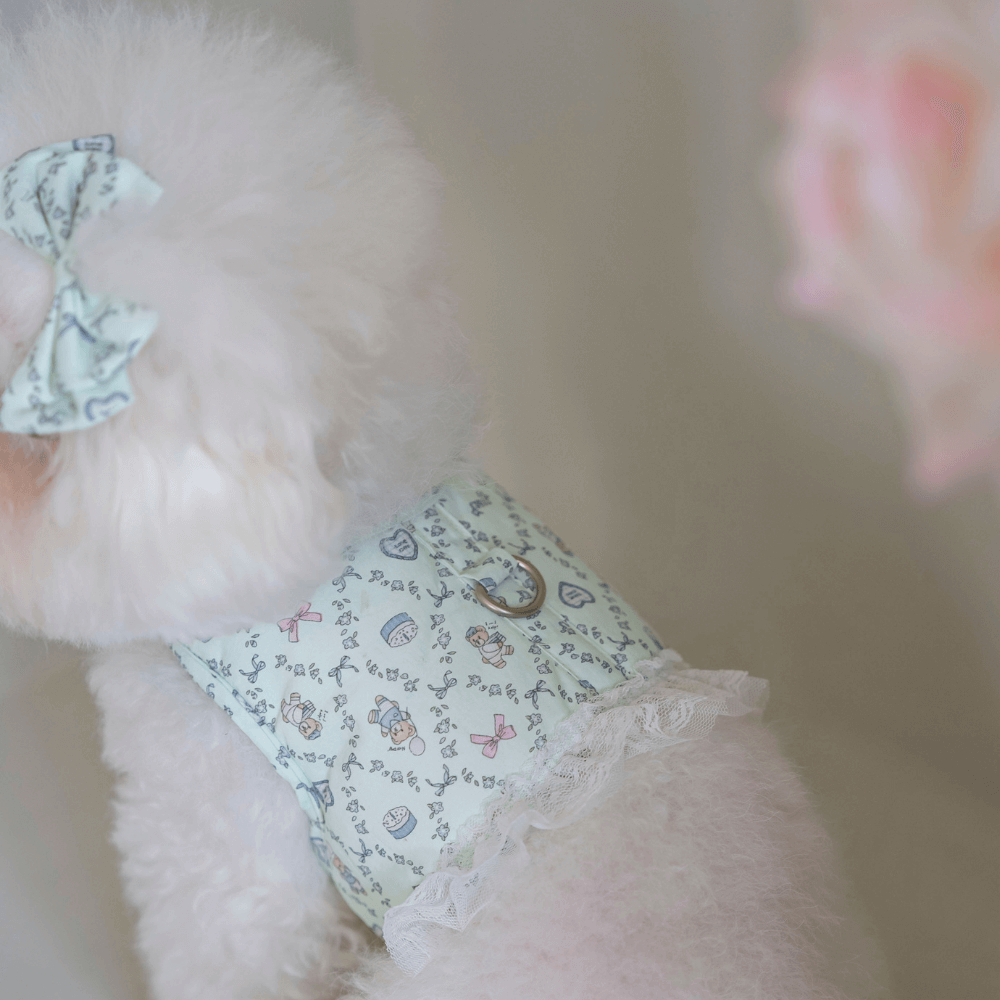 Ice Teddy Harness(Mint)