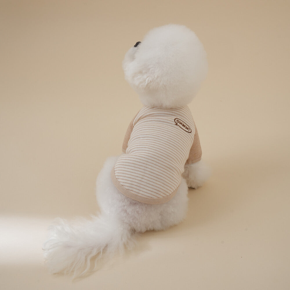 オーガニックラグランTシャツ