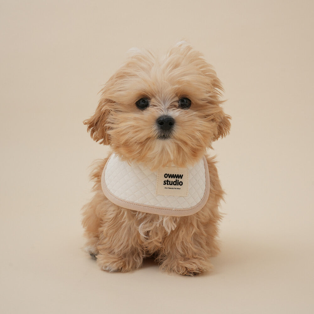 【予約】ORGANIC BIB(ネーム刺繍可)