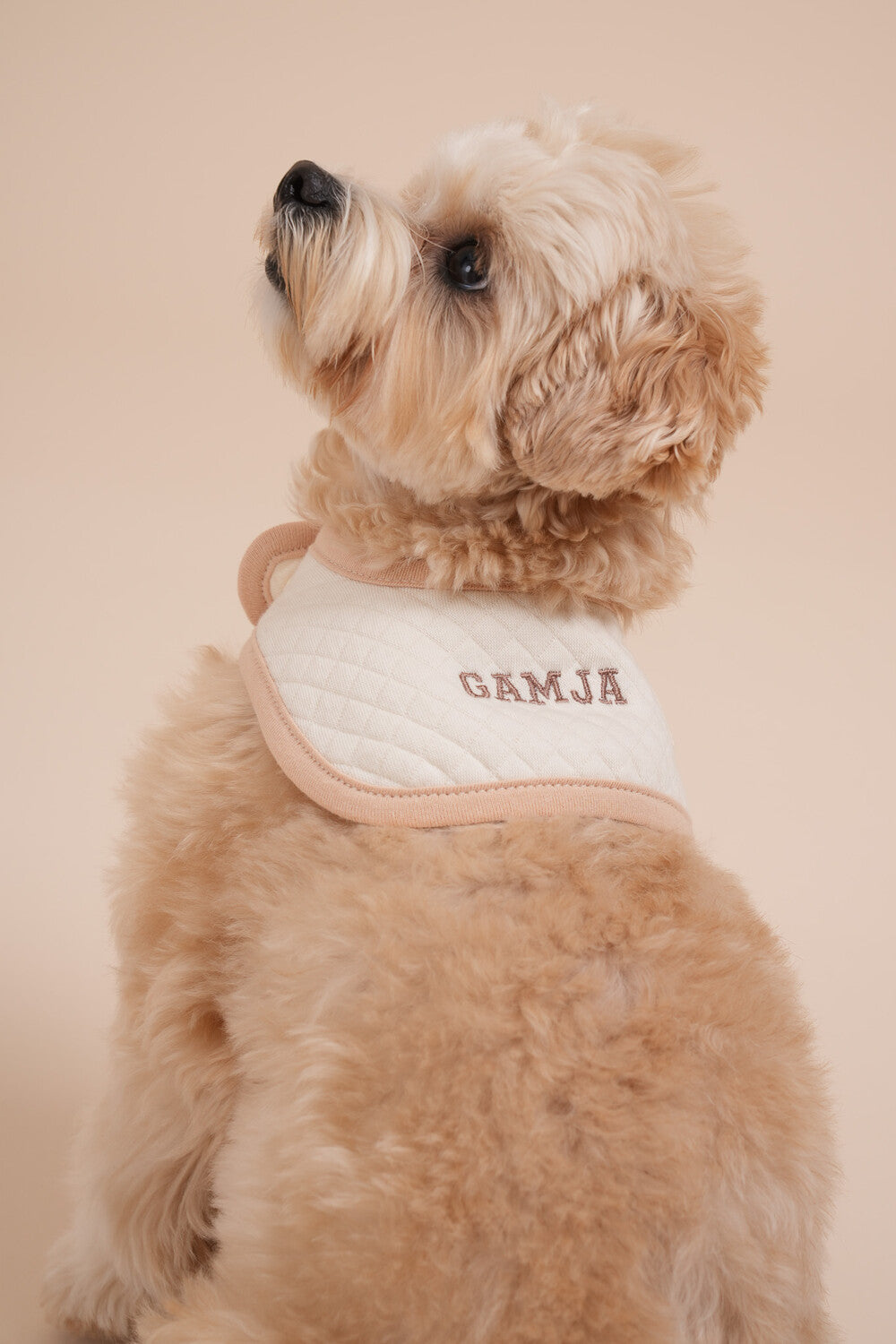 【予約】ORGANIC BIB(ネーム刺繍可)