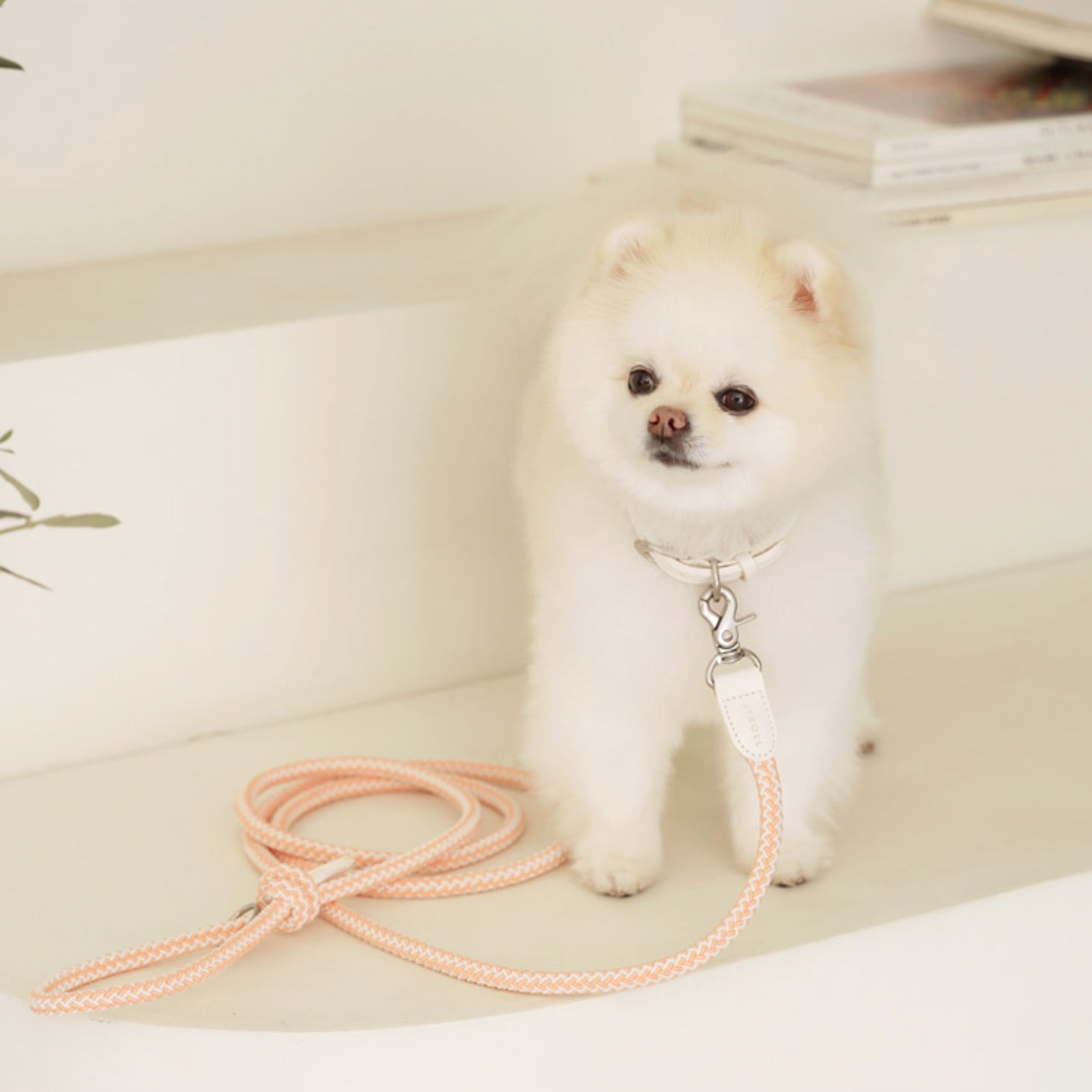 Rope Collar(コーラル)