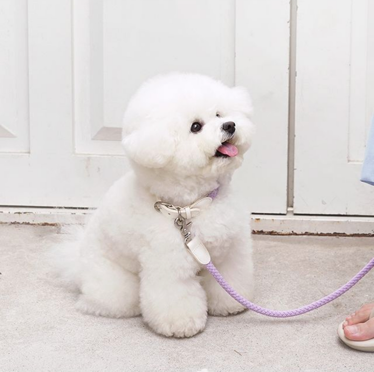 負担の少ないおしゃれな犬用首輪｜Rope Collar（ライラック）