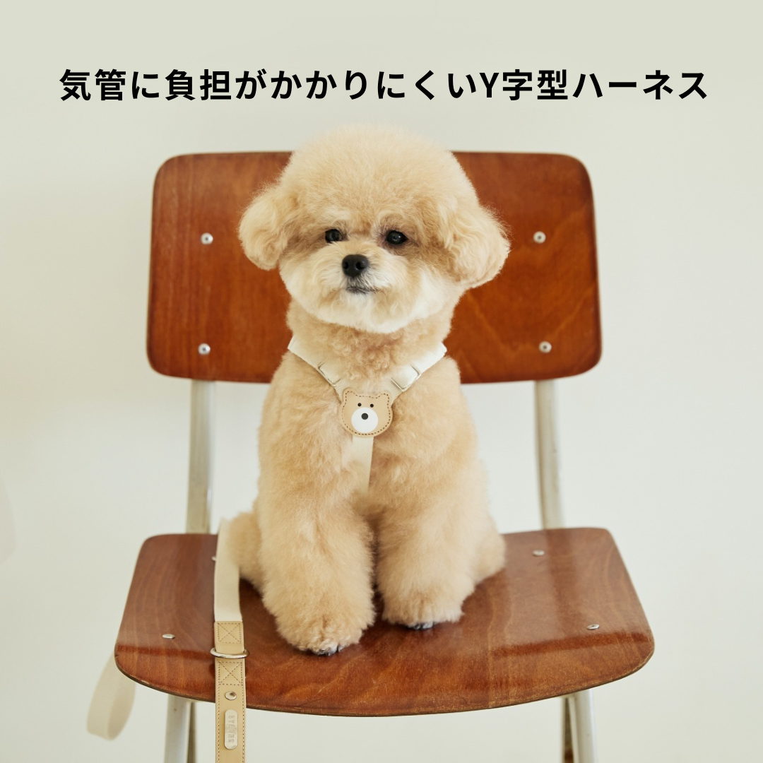 BEARBONG HARNESS(ミント)