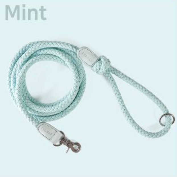 Classic Leash 1.8m 手持ちリード(ミント)