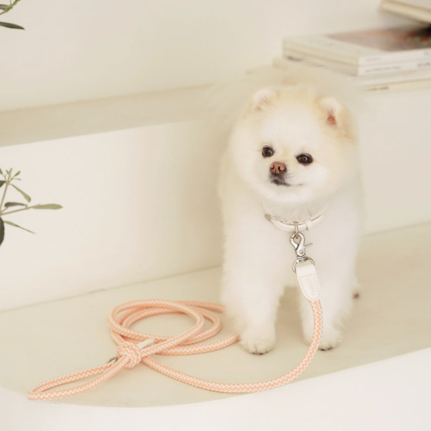 Classic Leash 1.8m 手持ちリード(コーラル)