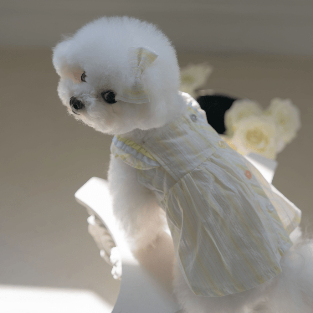 Sunkist Dress(Yellow)