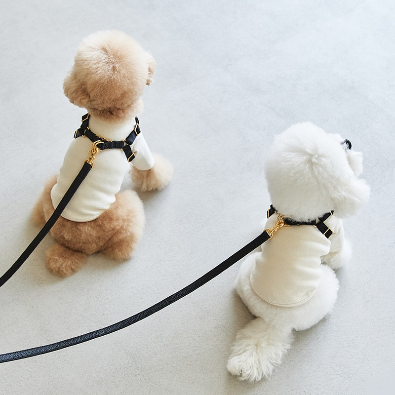 DELIGHT HARNESS バックルver(ブラック)