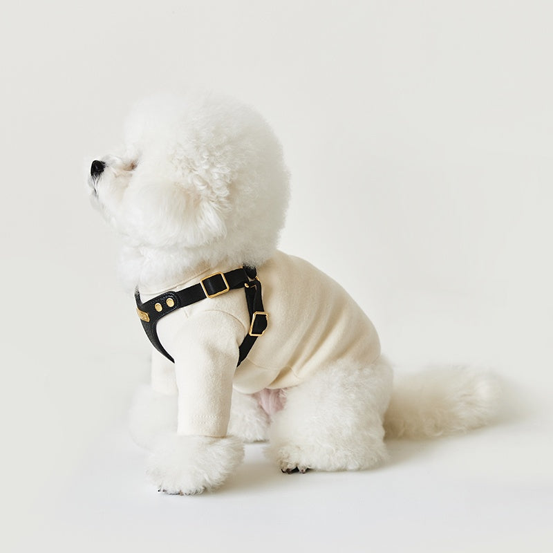 DELIGHT HARNESS(ブラック)