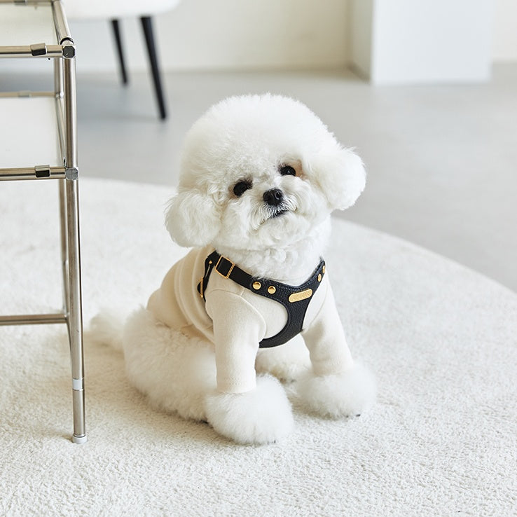 DELIGHT HARNESS バックルver(ブラック)