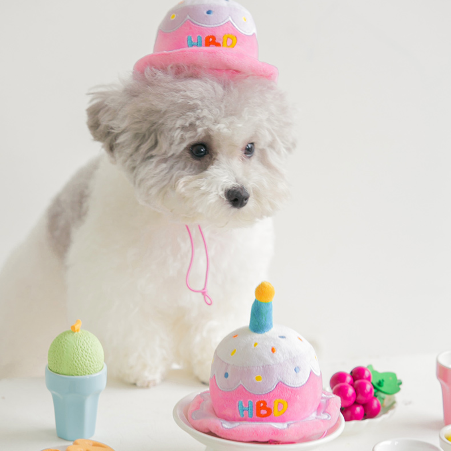 Happy Birthday Toy