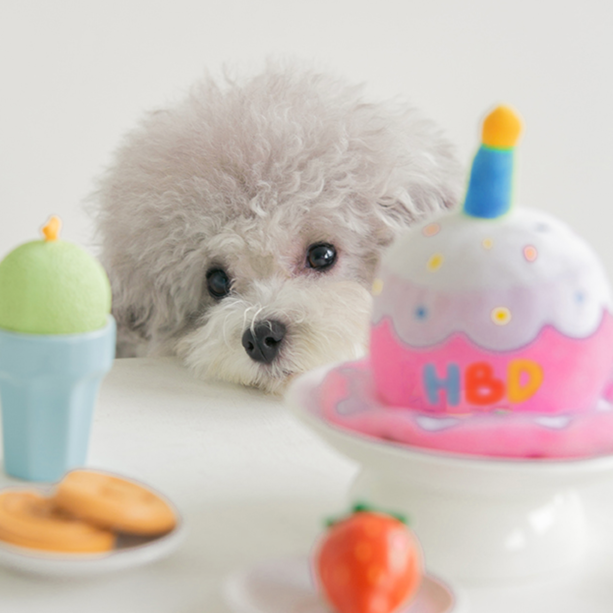 Happy Birthday Toy