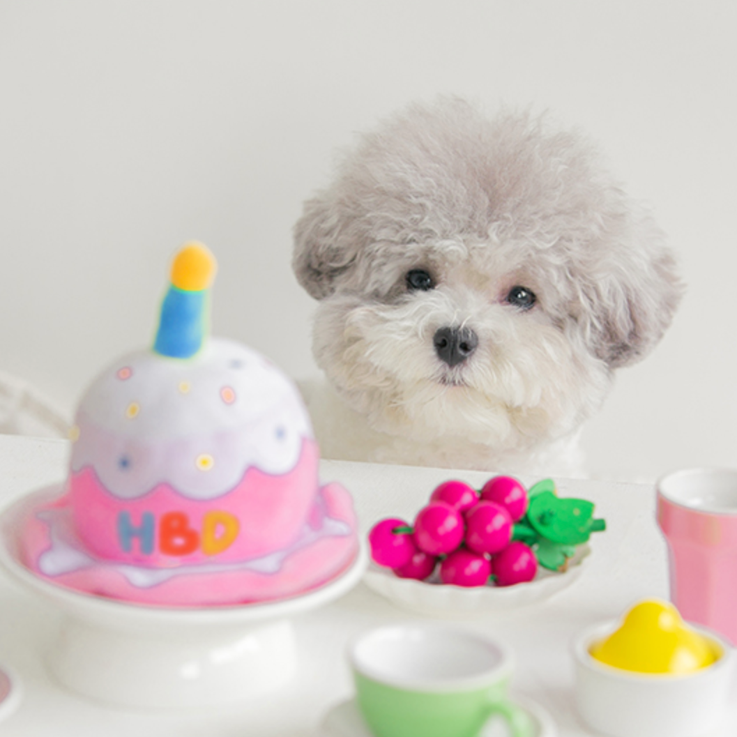 Happy Birthday Toy