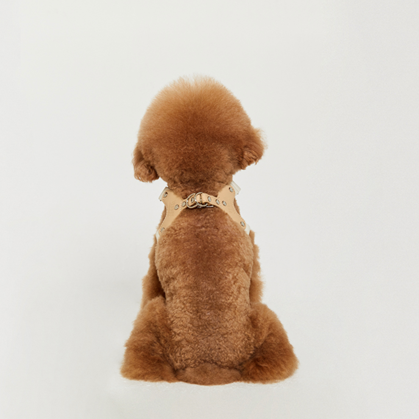 BEARBONG HARNESS(アイボリー)