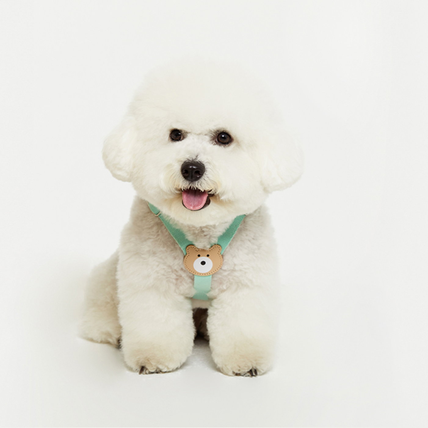 BEARBONG HARNESS 犬用品リードBYBONG XS ハーネス | monsterdog.com.br