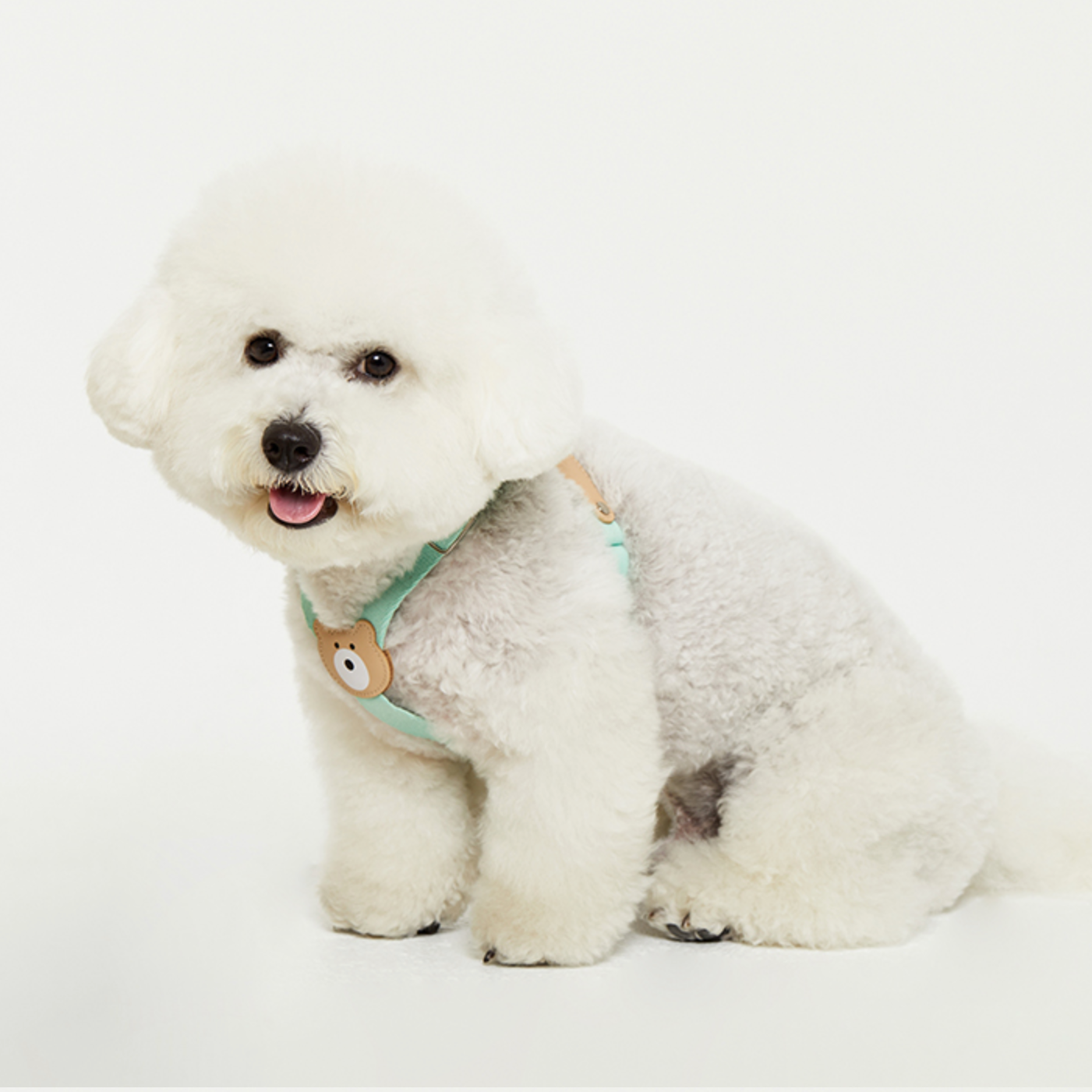 BEARBONG HARNESS(ミント)