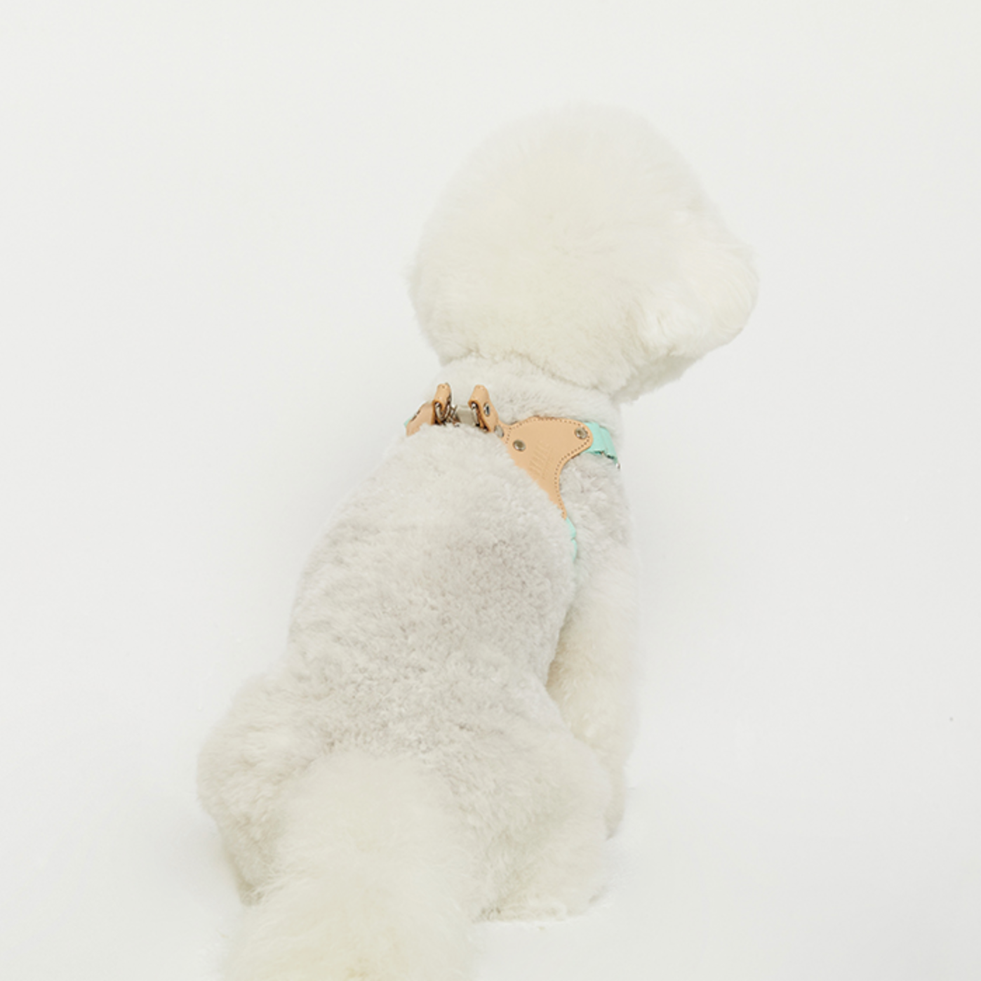 BEARBONG HARNESS(ミント)