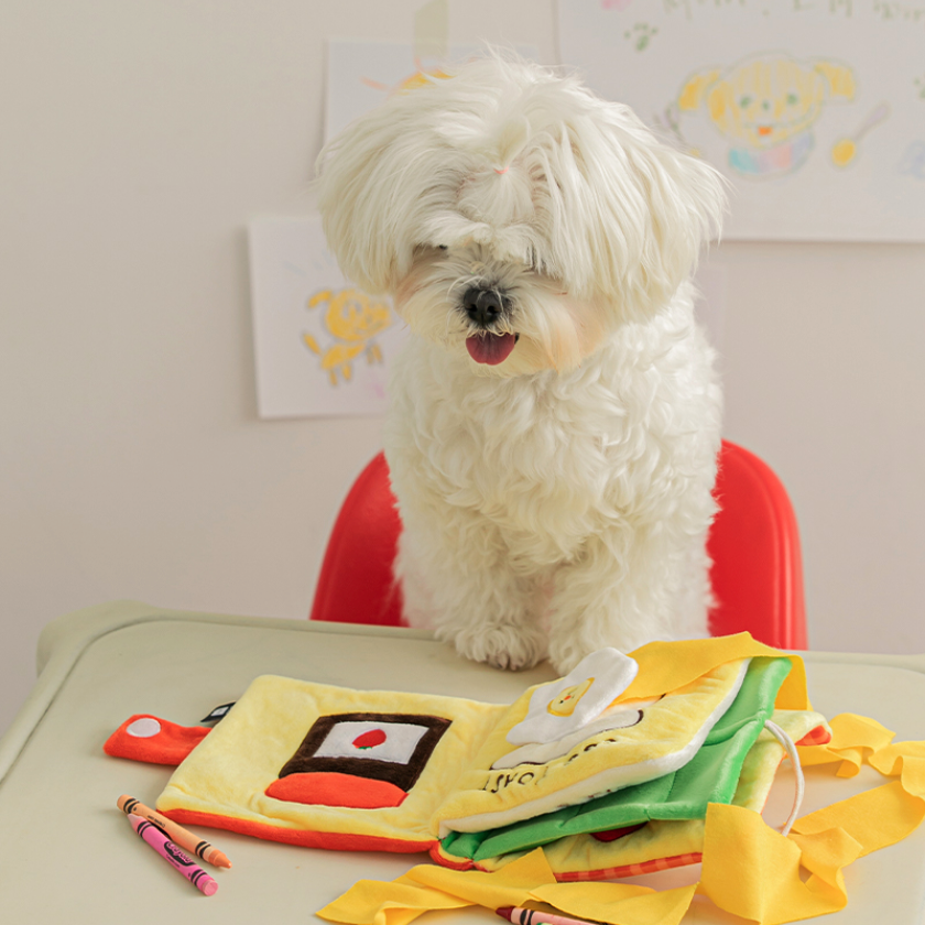 My lunch boxノーズワークTOY