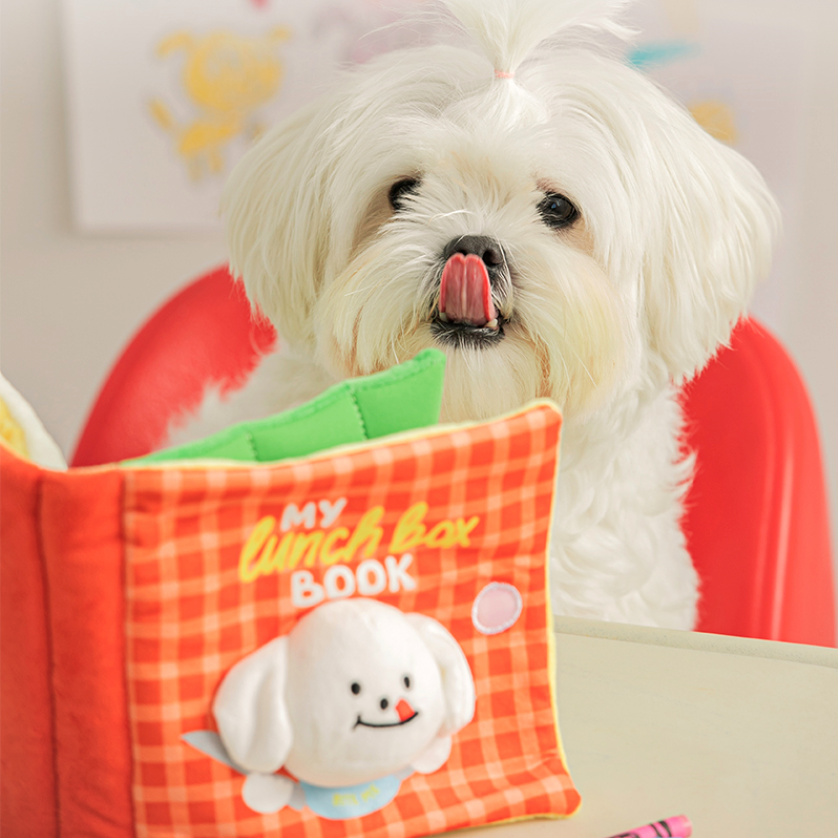 My lunch boxノーズワークTOY