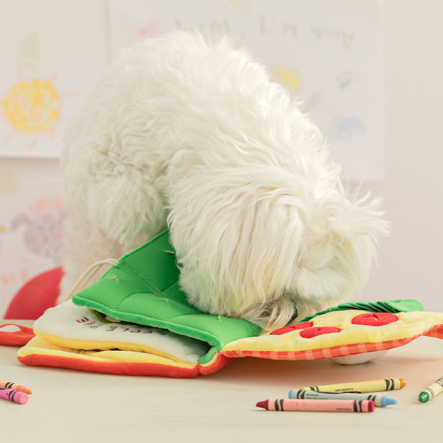 My lunch boxノーズワークTOY