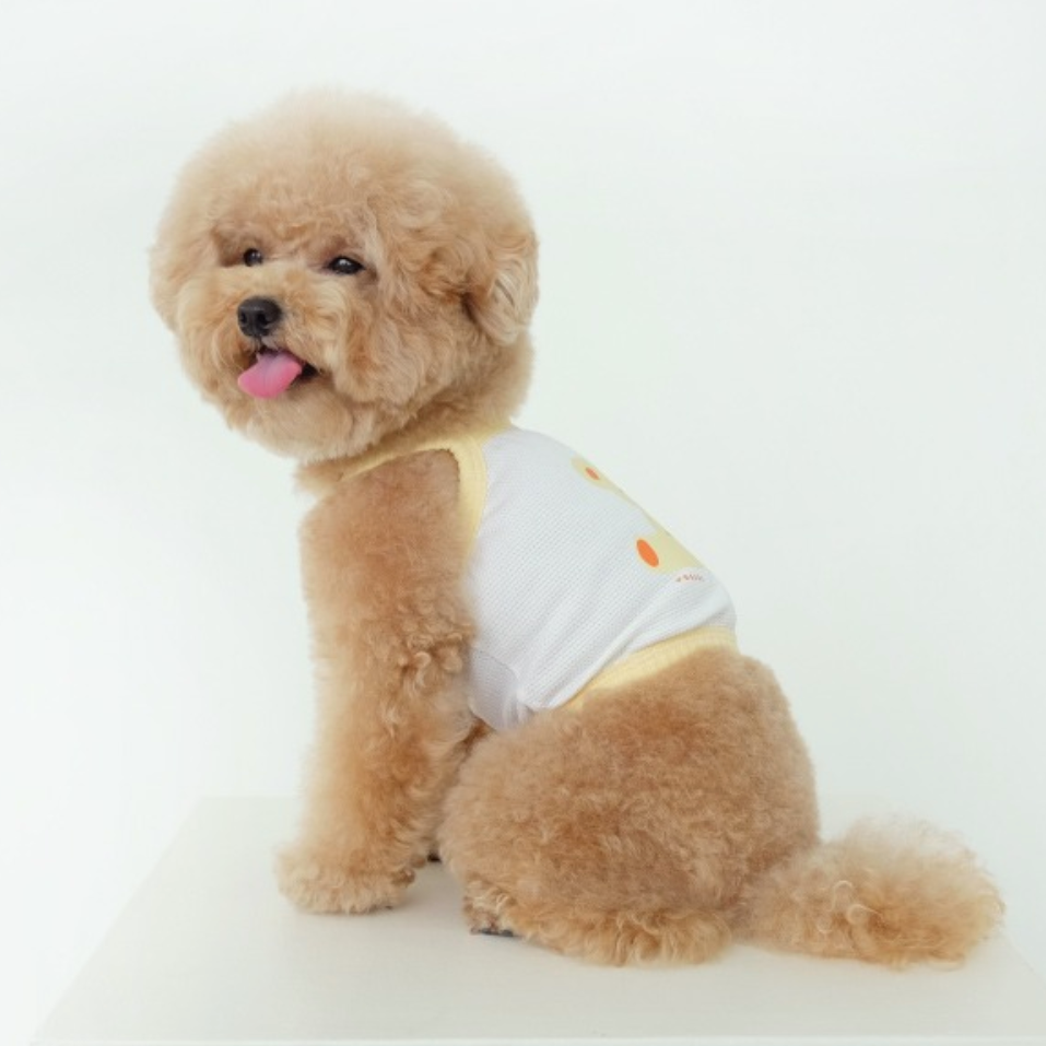 KOGURIクールクロップトップス(全4色)