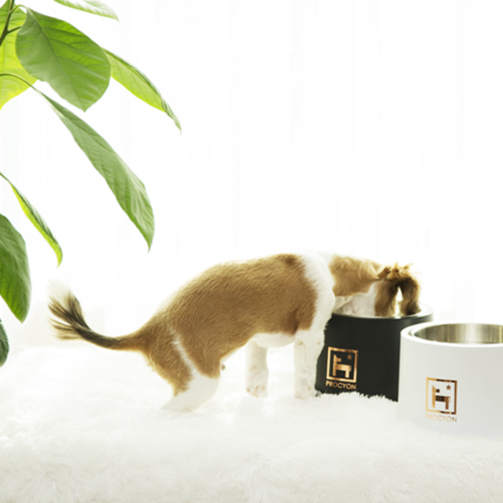 COOLER BOWL BASIC (STARRY BLACK)