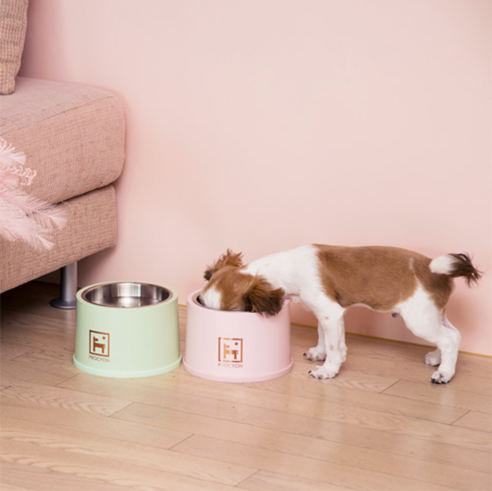 COOLER BOWL BASIC (PARADISE GREEN)