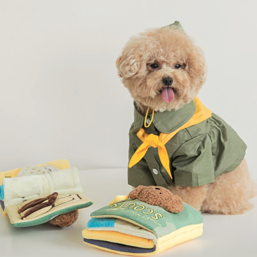 ワンワンスカウトノーズワークTOY