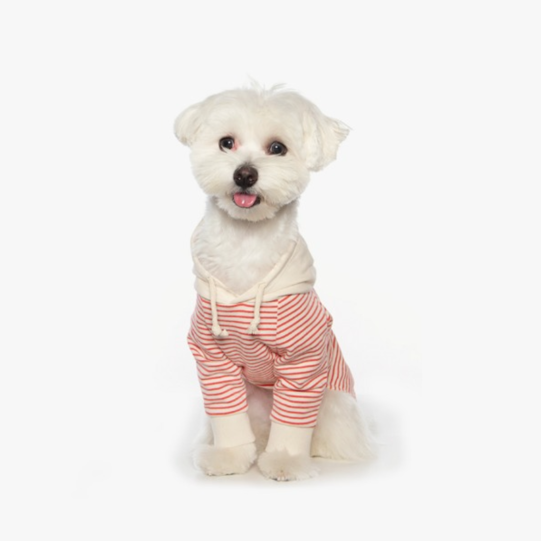 ボーダーフードトップス(レッド)