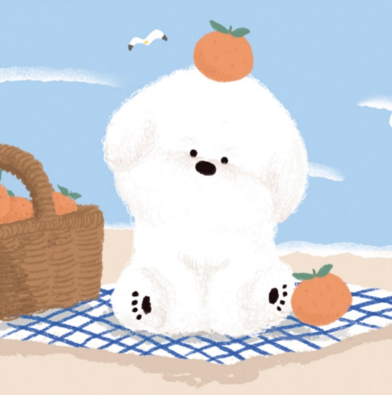 【予約商品】JEJU BEACH CLEAR CASE