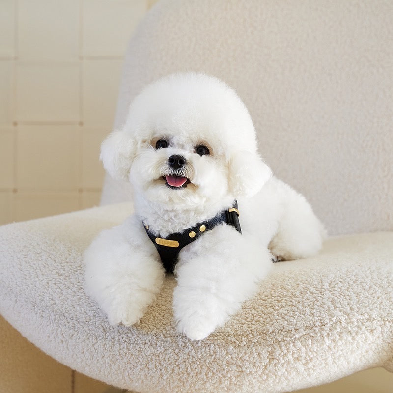 DELIGHT HARNESS ベルトver(ブラック)