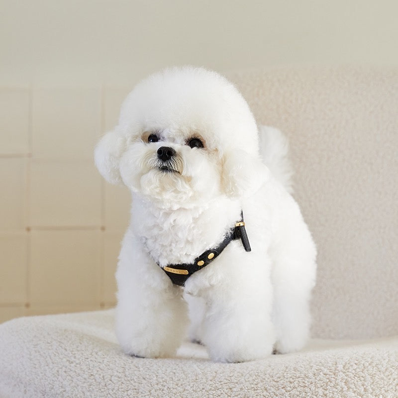 DELIGHT HARNESS ベルトver(ブラック)