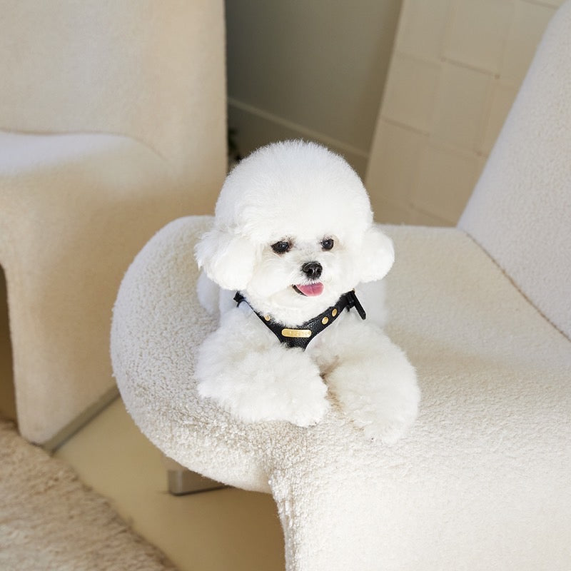 DELIGHT HARNESS ベルトver(ブラック)