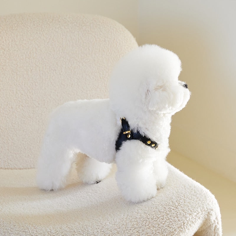 DELIGHT HARNESS ベルトver(ブラック)