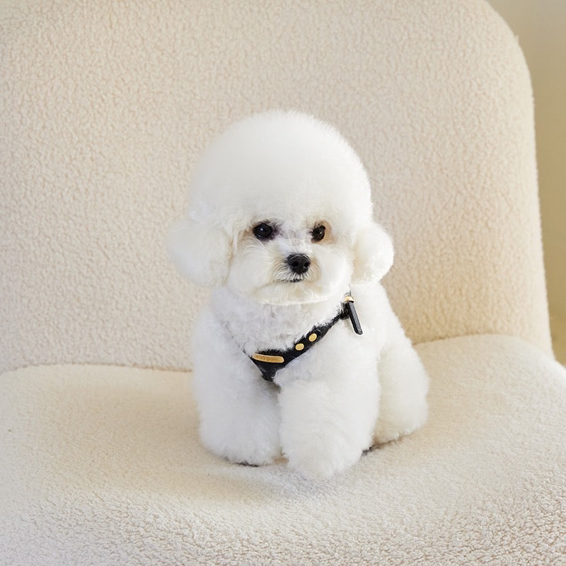 DELIGHT HARNESS ベルトver(ブラック)