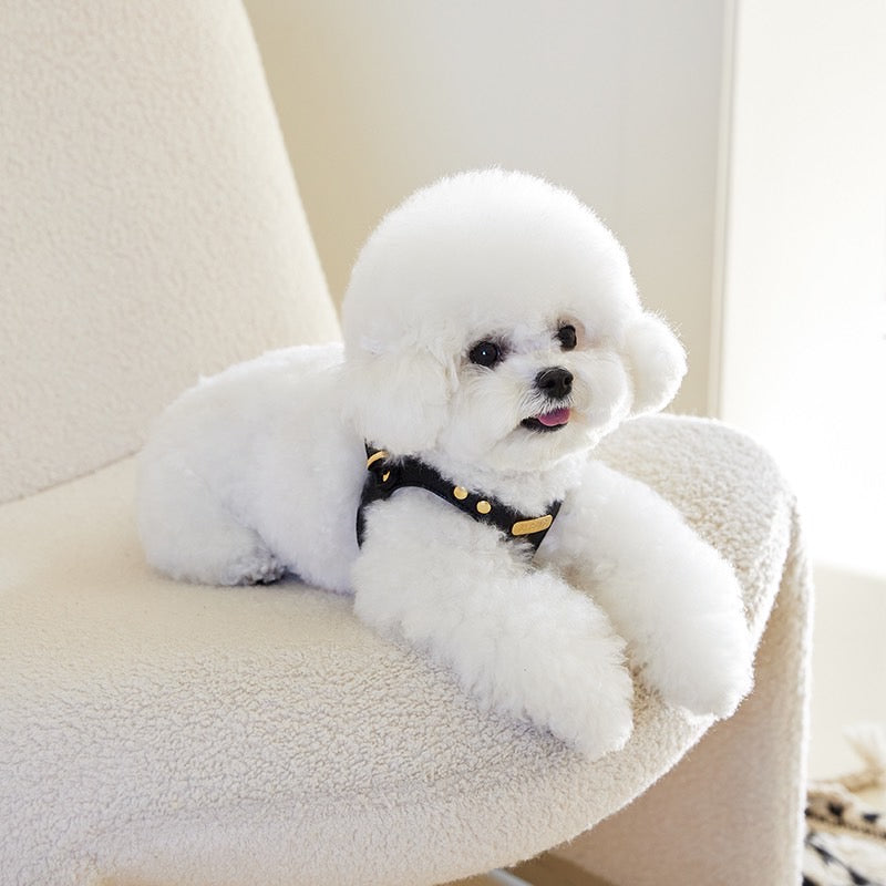 DELIGHT HARNESS ベルトver(ブラック)