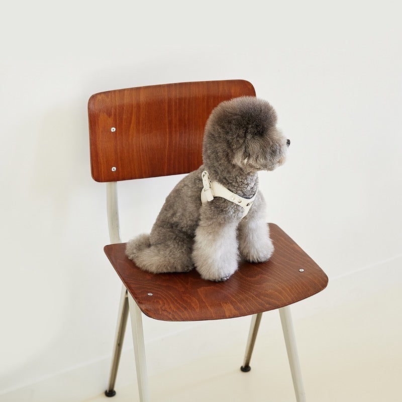 DELIGHT HARNESS ベルトver(クリーム)