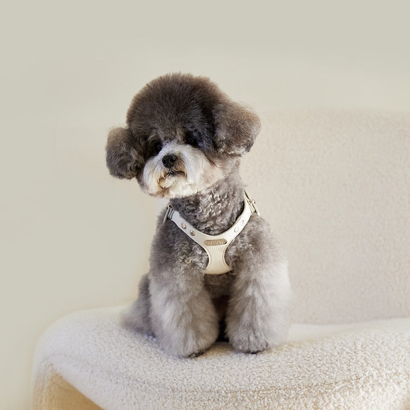 DELIGHT HARNESS ベルトver(クリーム)