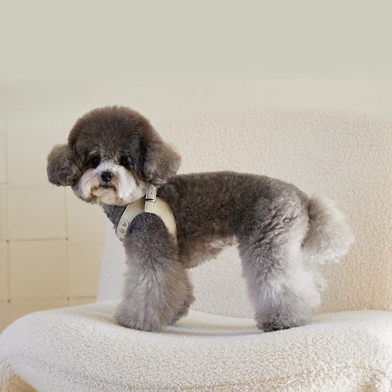 DELIGHT HARNESS ベルトver(クリーム)