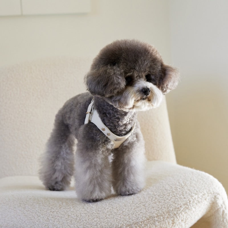 DELIGHT HARNESS ベルトver(クリーム)