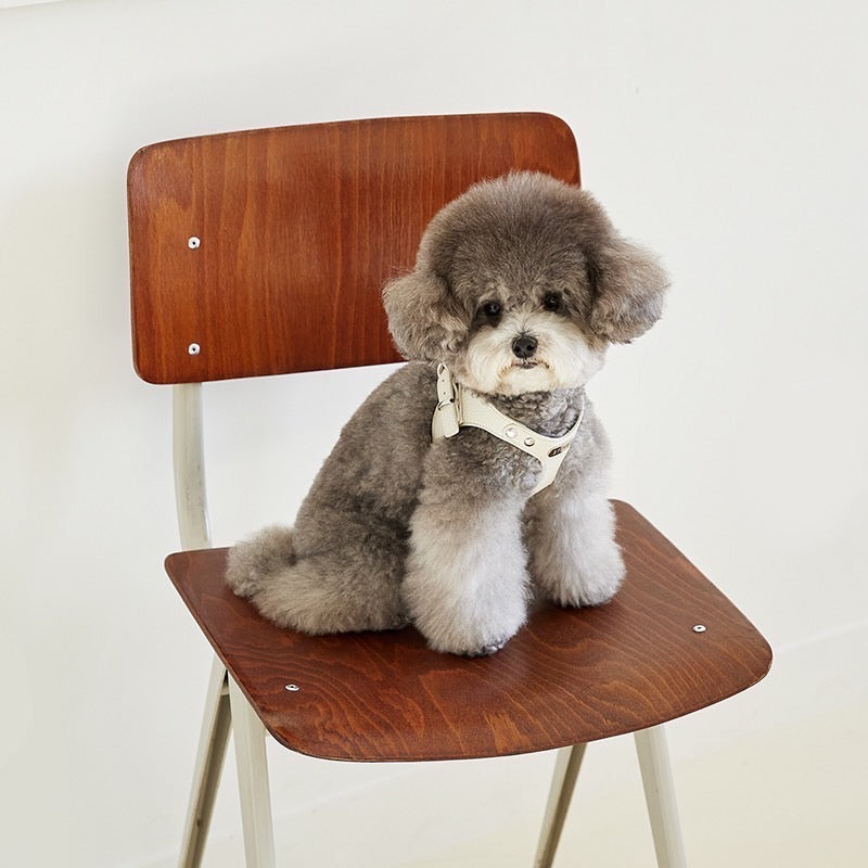 DELIGHT HARNESS ベルトver(クリーム)